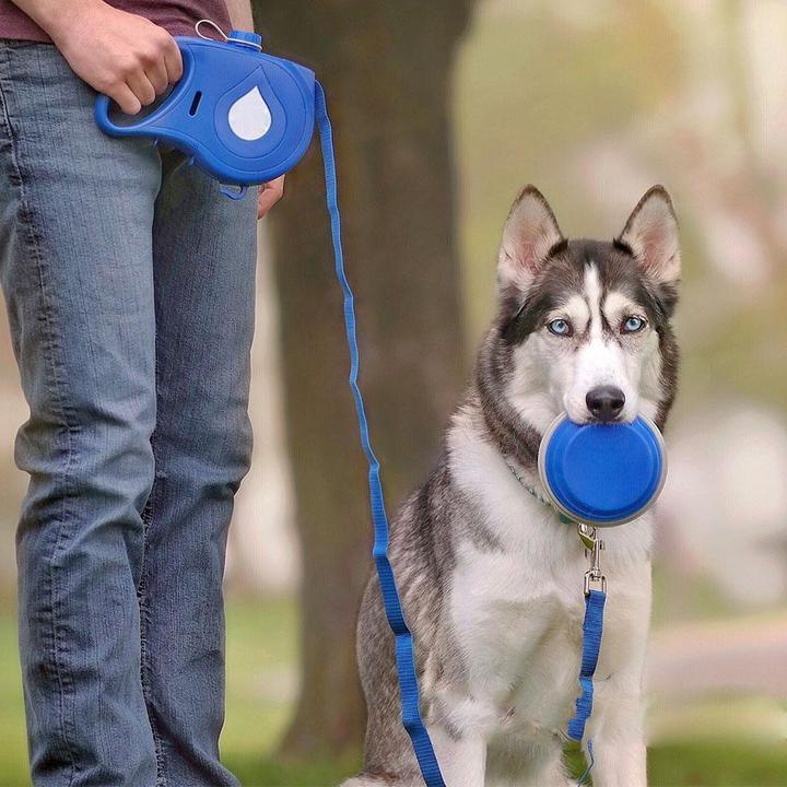 Multi Dog Leash™ - Faisly